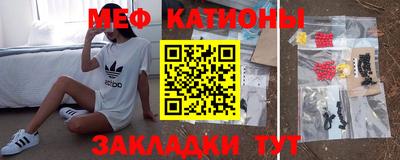 стаф Гатчина