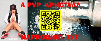 стаф Гатчина