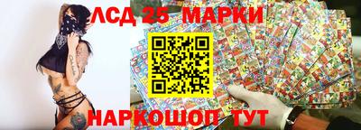 стаф Гатчина