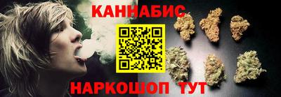 стаф Гатчина