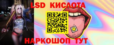 стаф Гатчина