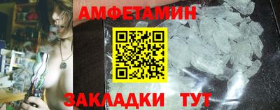 стаф Гатчина