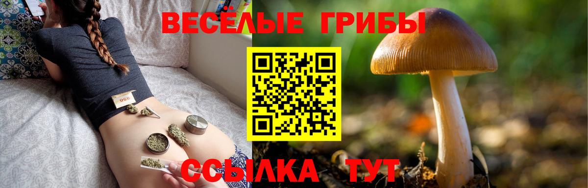 Лениногорск  Галлюциногенные грибы мухоморы  Вход с VPN  Псилоцибиновые грибы мухоморы 